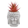 Discount Sukkulente Buddhakopf, Rot/spitz, 15 Cm Outdoor & Garten