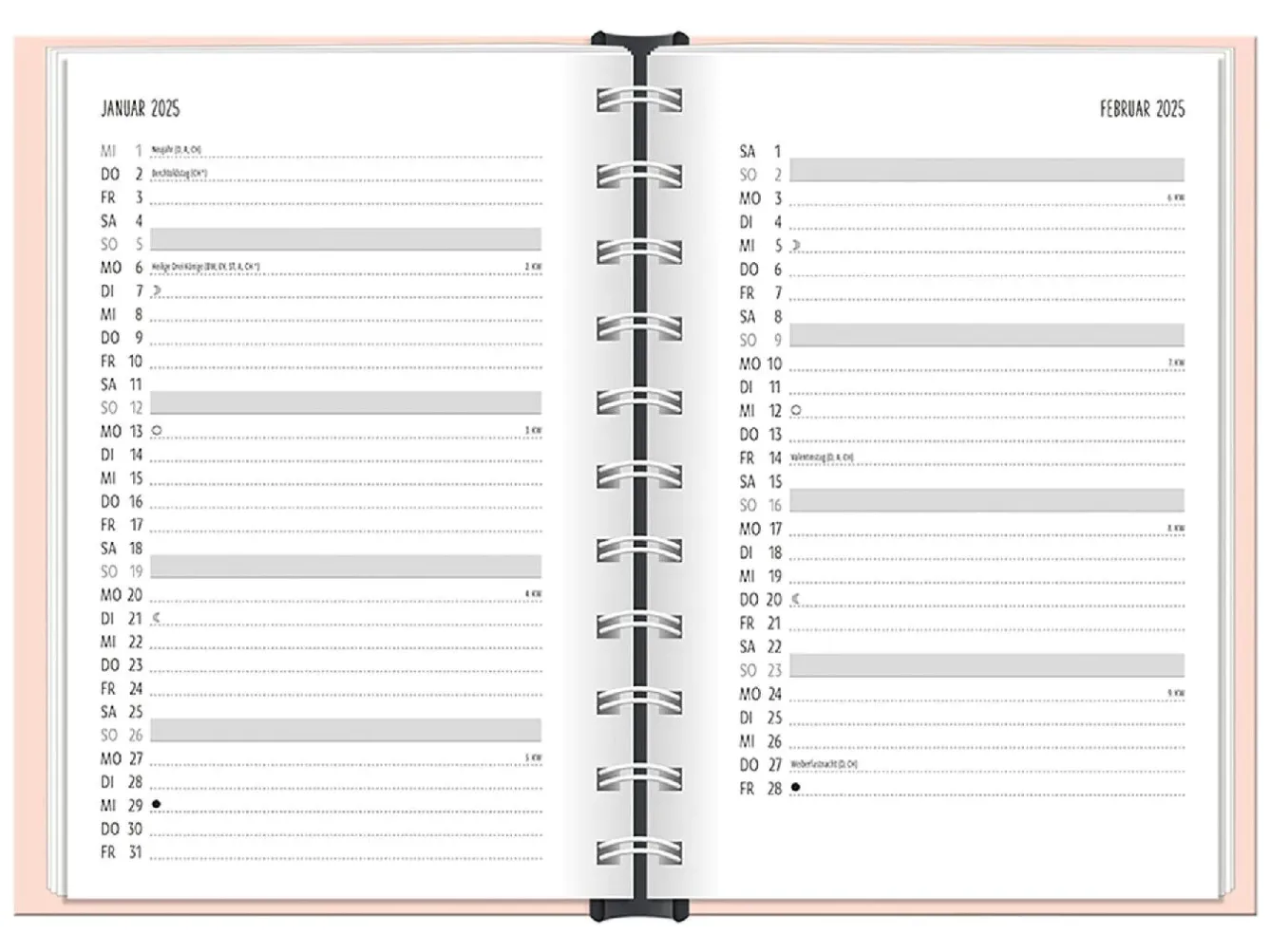 New Terminplaner 2025, Der Beste Tag Kalender & Planer|Weihnachtsgeschenke