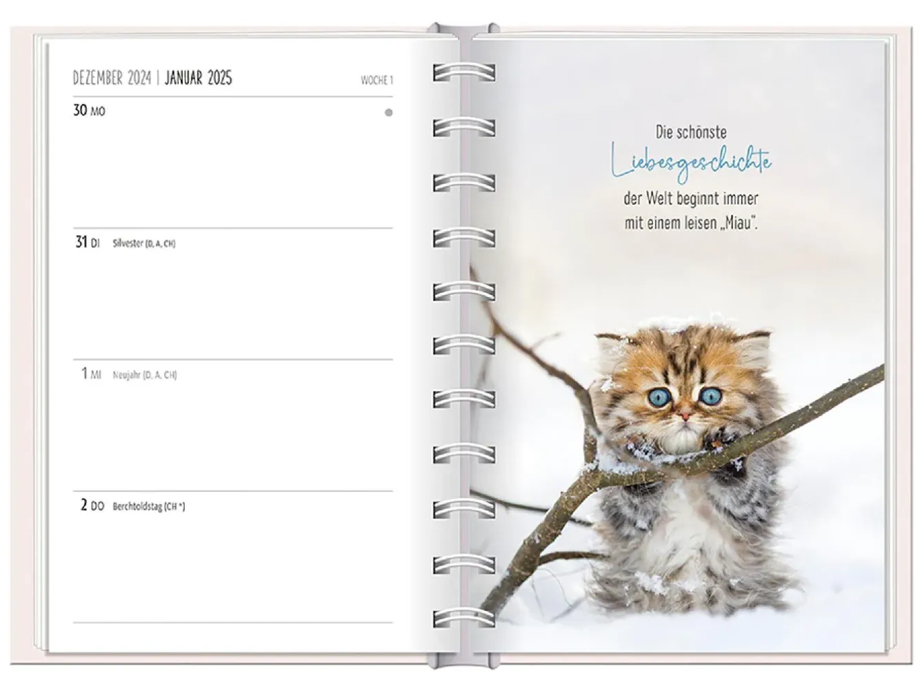 Hot Terminplaner 2025, Samtpfoten Kalender & Planer|Weihnachtsgeschenke