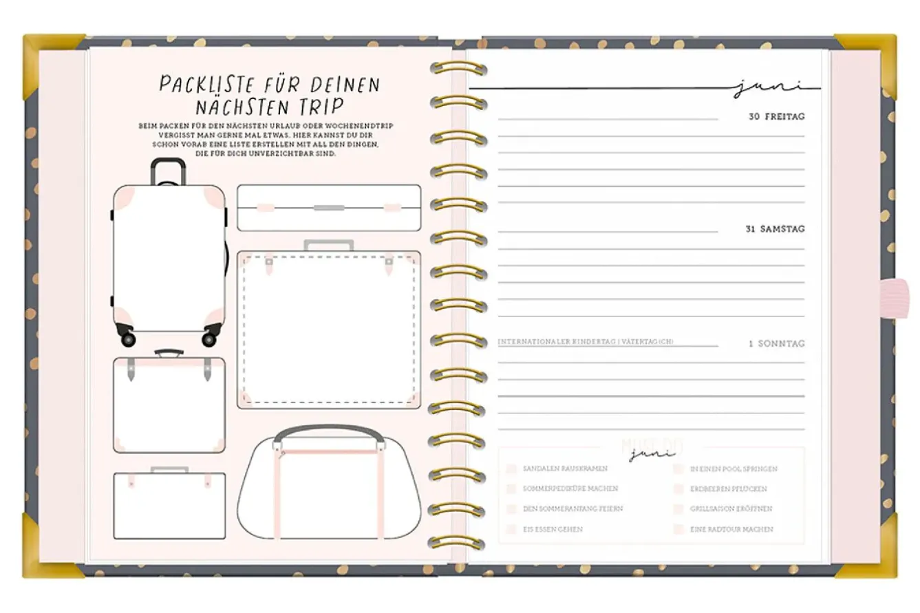 Discount Terminplaner Premium 2025, Dunkelgrau Kalender & Planer|Weihnachtsgeschenke