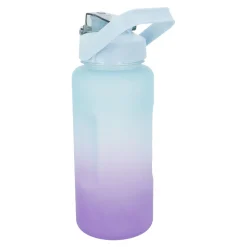 Online Trinkflasche Motivation, Grün-lila, 2 L Küche
