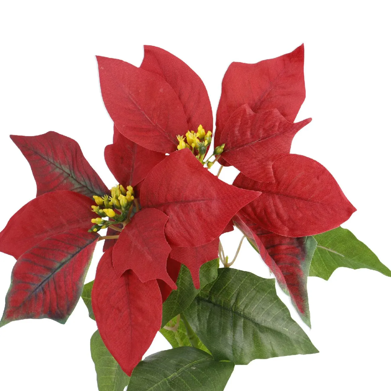 Weihnachtsstern 2 Blüten/rot, 31 Cm Vasen & Kunstblumen|Adventskränze & Zubehör