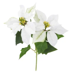 Best Weihnachtsstern 2 Blüten/weiß, 31 Cm Adventskränze & Zubehör|Weihnachtsdeko